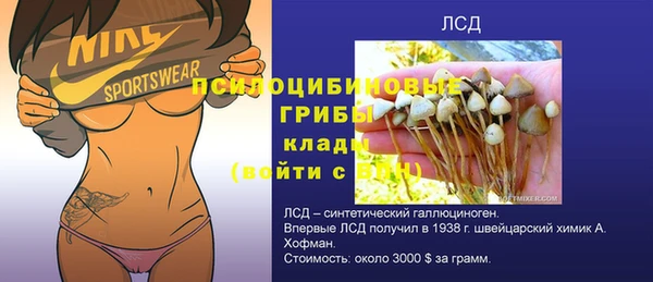 винт Армянск