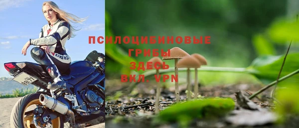 прущий лед Магас