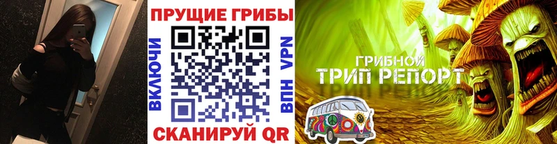 Псилоцибиновые грибы прущие грибы  наркотики  Похвистнево 